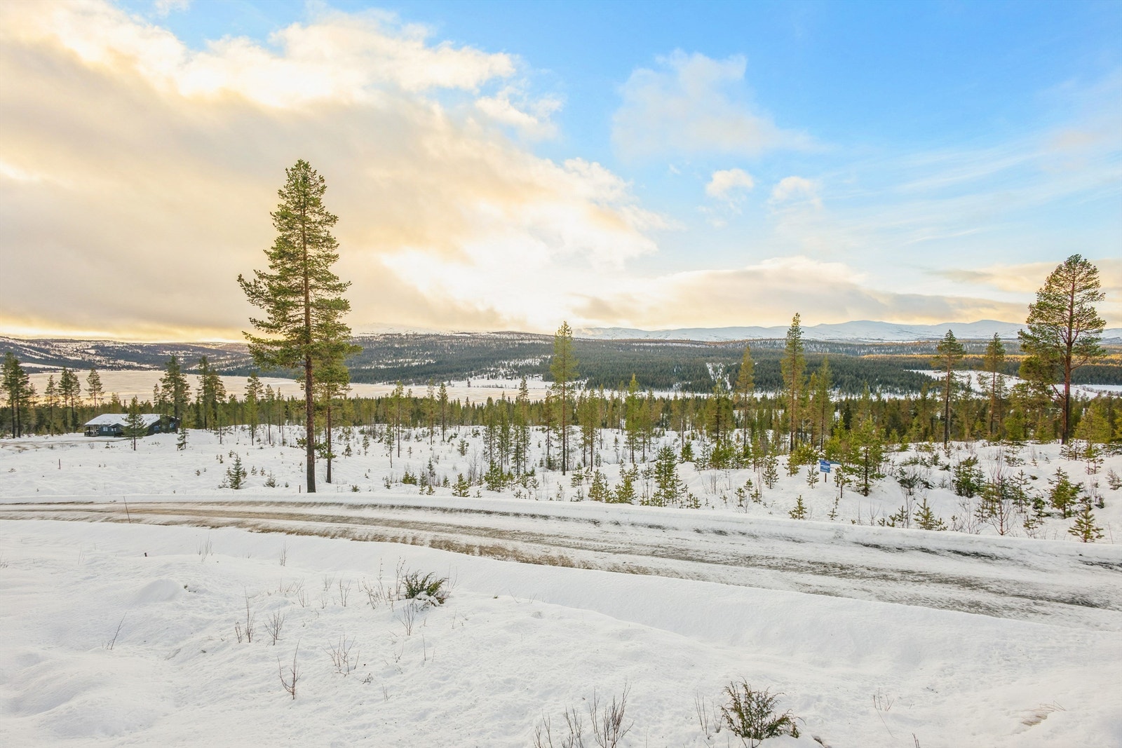 Landskapet er preget av spredt furuskog og fjellterreng, med turmuligheter rett utenfor døren. Galleribilde