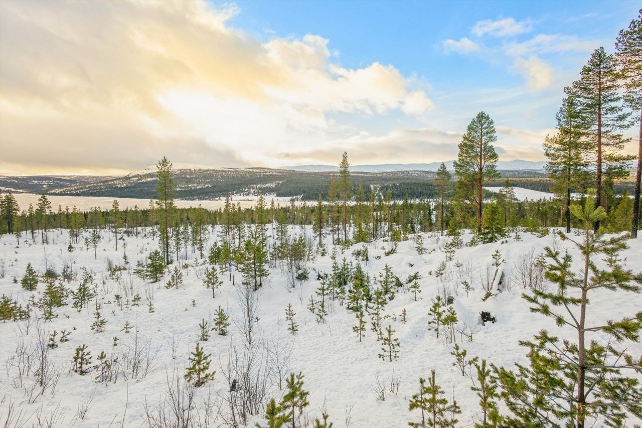 Et landskap som skifter karakter med årstidene, fra snødekte vidder til fargerik høst. Galleribilde