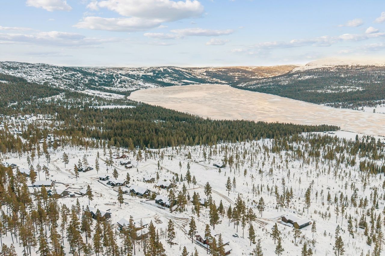 Området byr på storslått natur med utsikt mot Tisleifjorden og fjellene rundt. Galleribilde