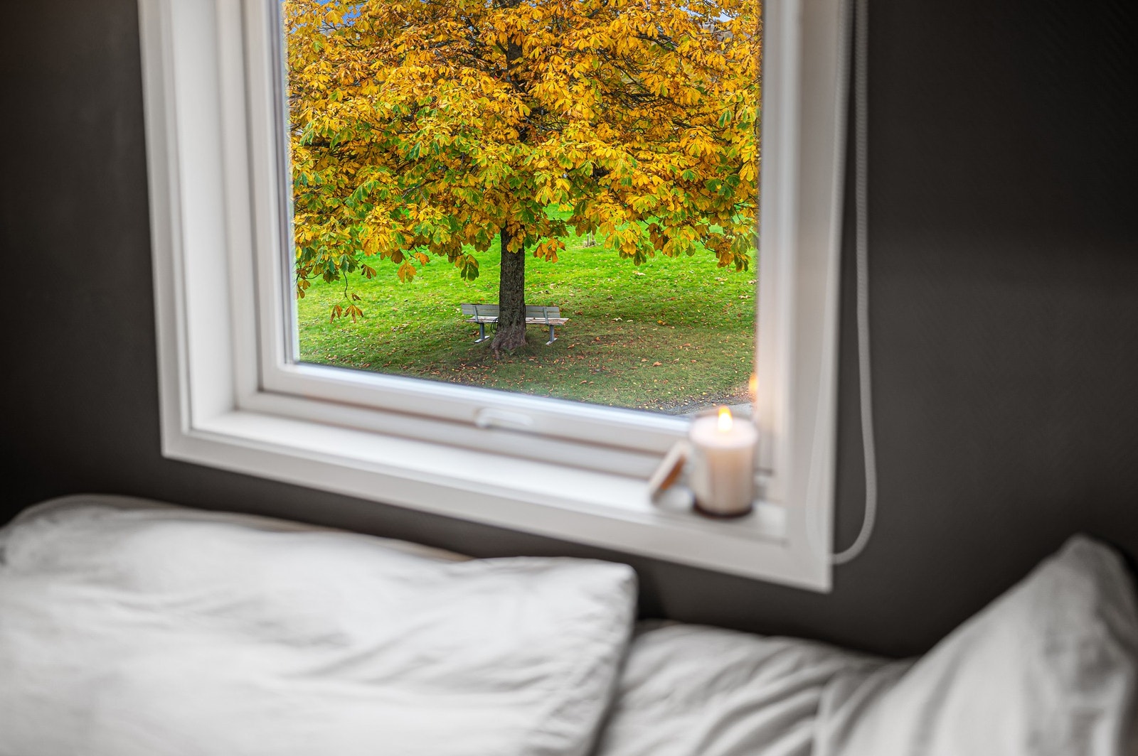 Store vindusflater i boligen bidrar til rikelig med naturlig lysinnslipp. Galleribilde