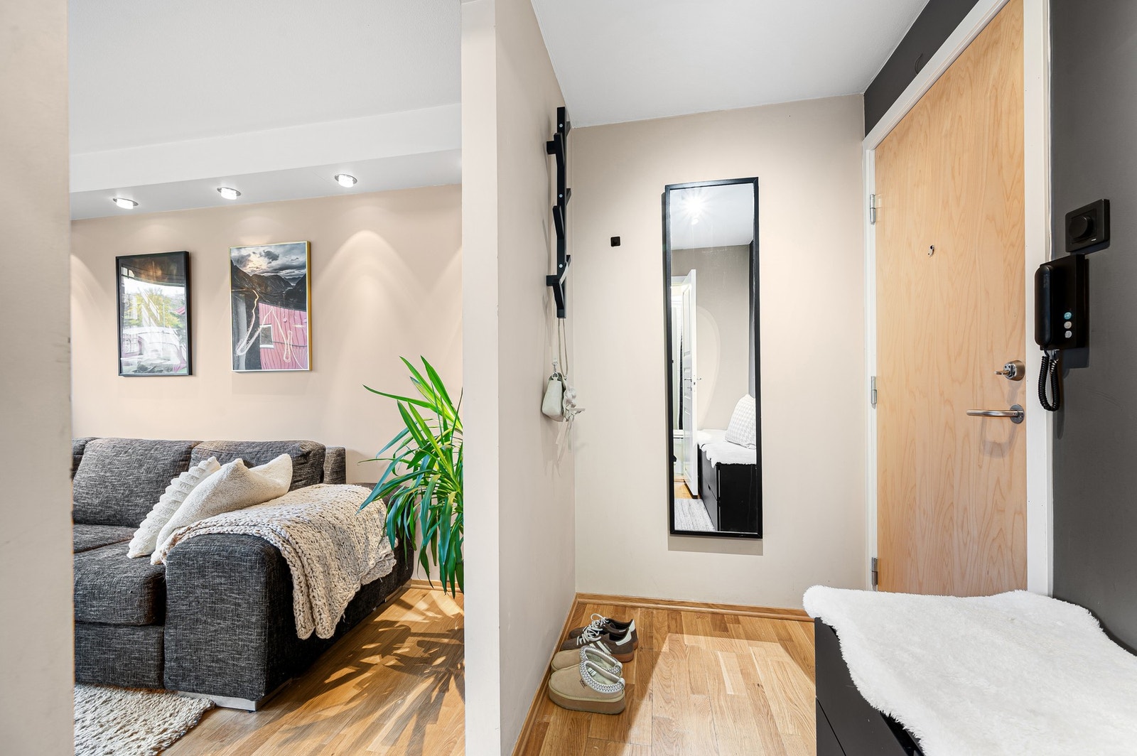 Romslig entre med god plass til sko- og klesoppheng. Galleribilde