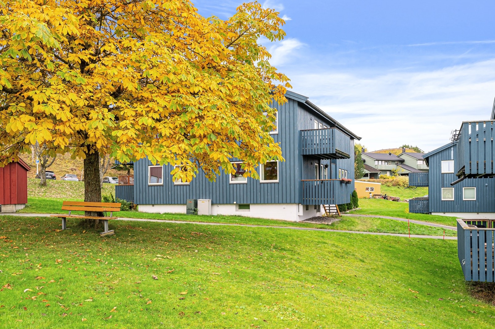 Flotte grøntarealer. Galleribilde