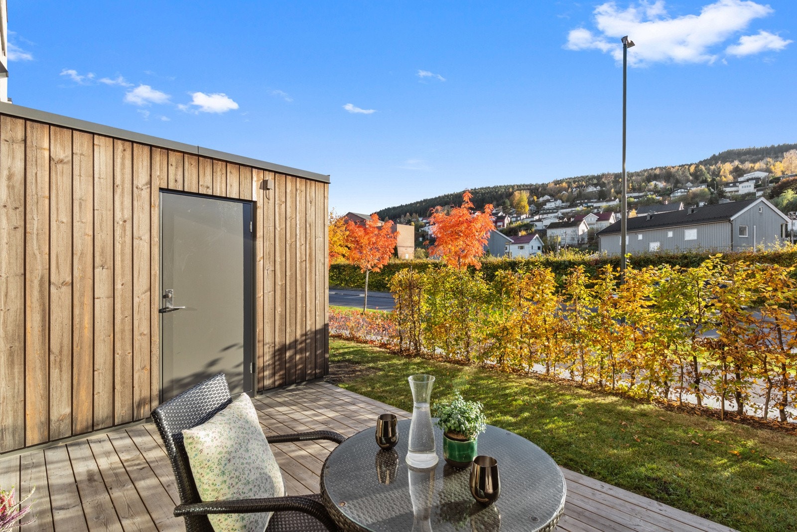 Agnbøk hekk plantet i to rekker sommeren 2025 for å sikre at hekken blir tett Galleribilde