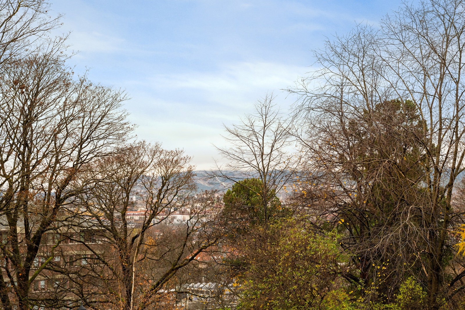 Her har du utsikt mot Kampen park, og helt opp til Holmenkollen Galleribilde