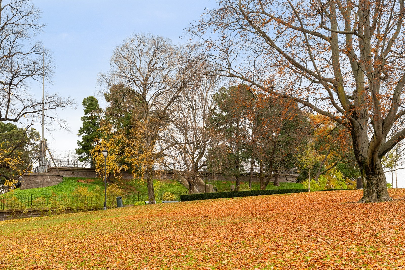 Kampen park som nærmeste nabo. Parken ser du fra kjøkkenvinduet Galleribilde