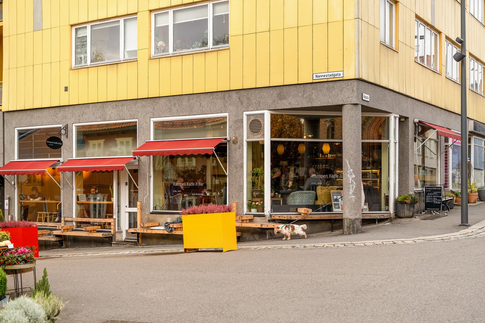 Nærområdet. Galleribilde