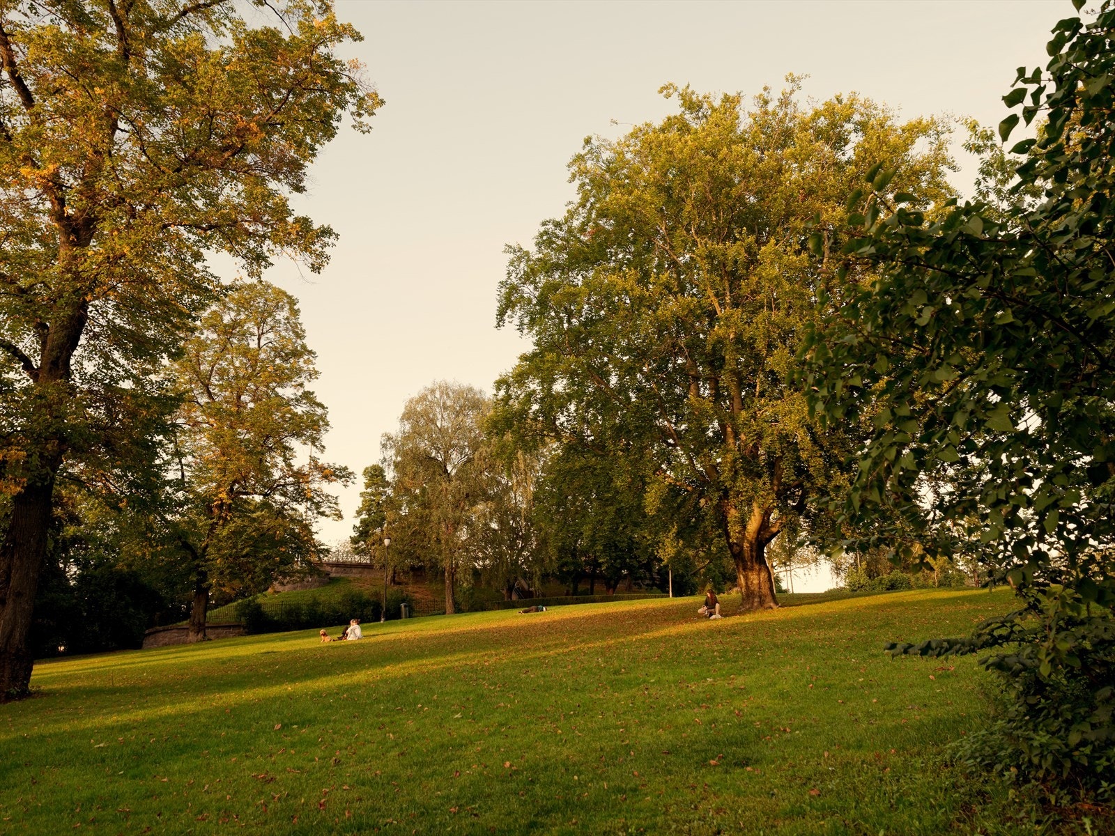 Det er flere fine parkområder i nærheten, med både Botanisk Hage og Jordal Park like ved. Galleribilde