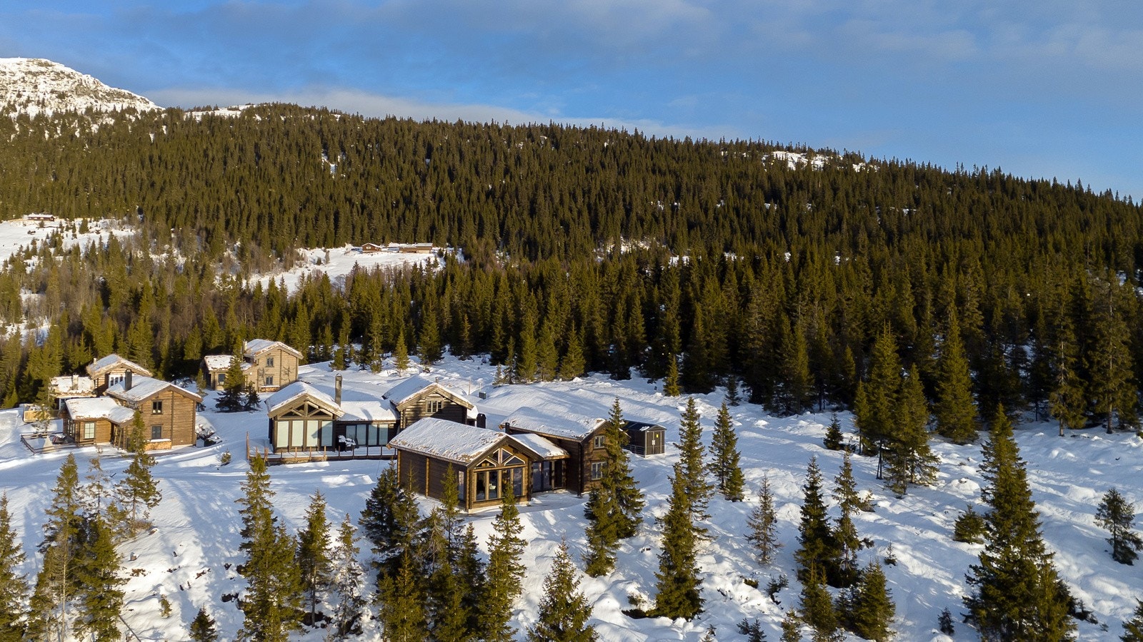 11_uten navn Galleribilde