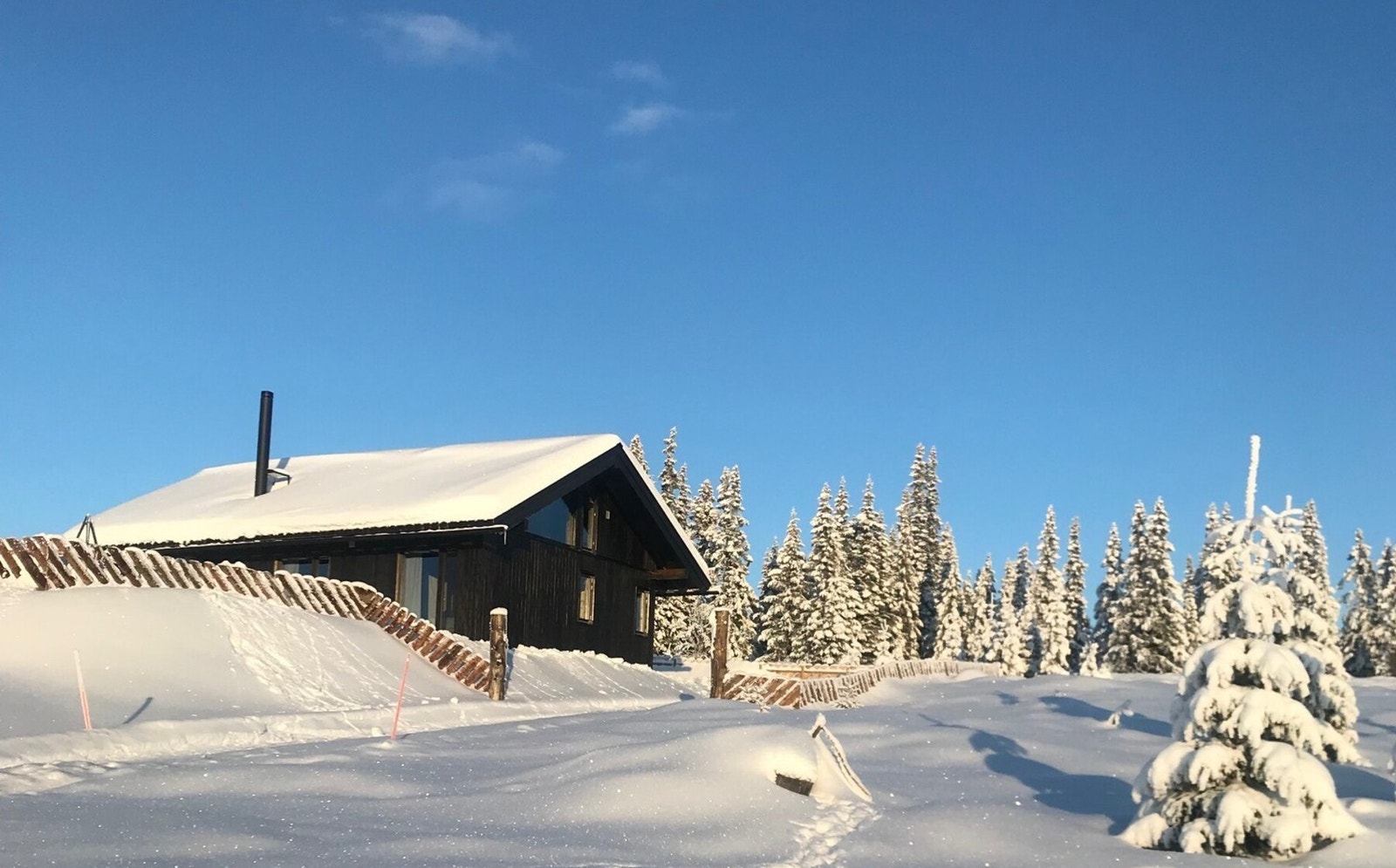 Bilde fra selgers arkiv Galleribilde