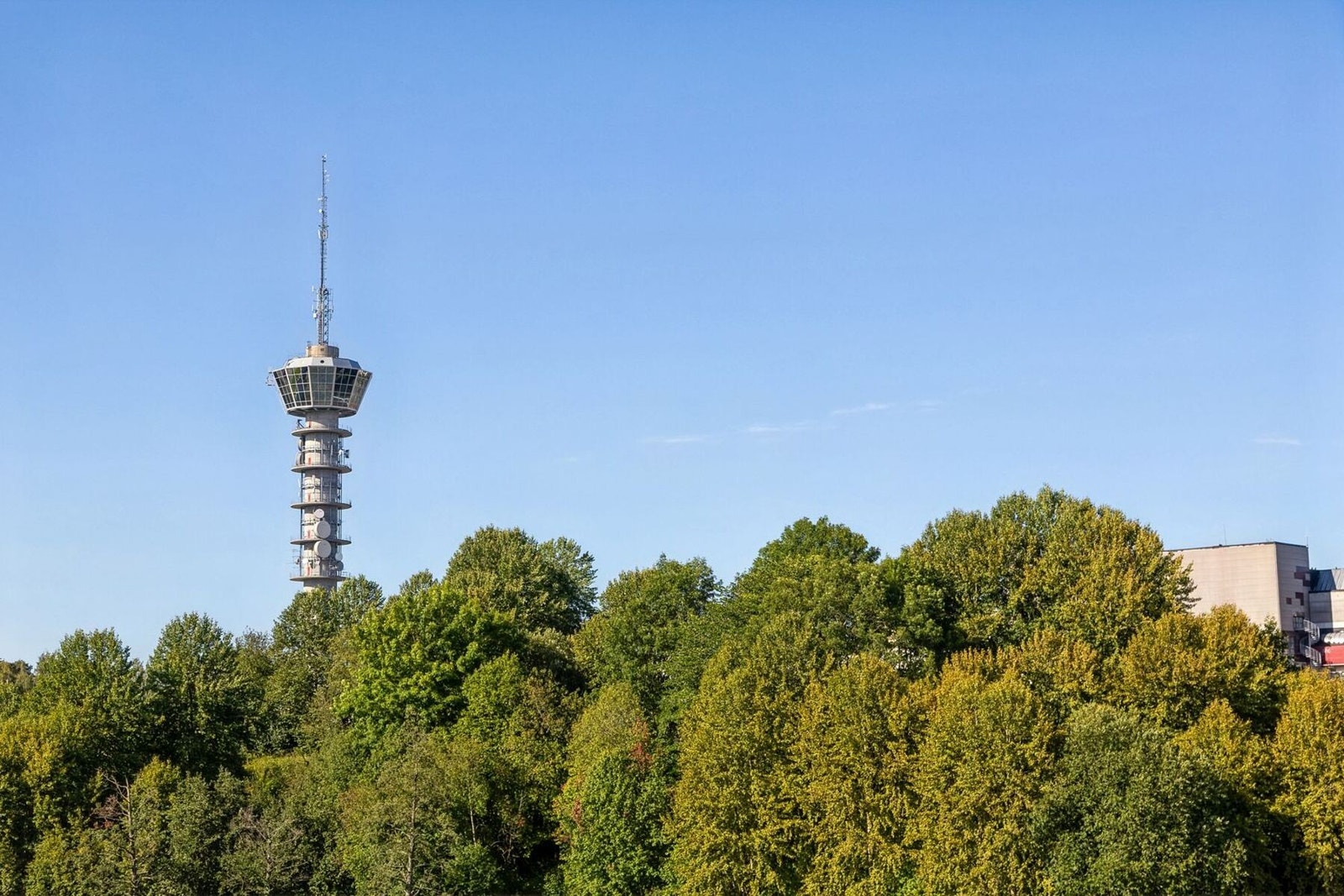 Buss nr. 22 og 12 har hyppige avganger til blant annet Sentrum, St. Olavs hospital, Solsiden, Persaunet, Gløshaugen og Studentersamfunnet. Galleribilde