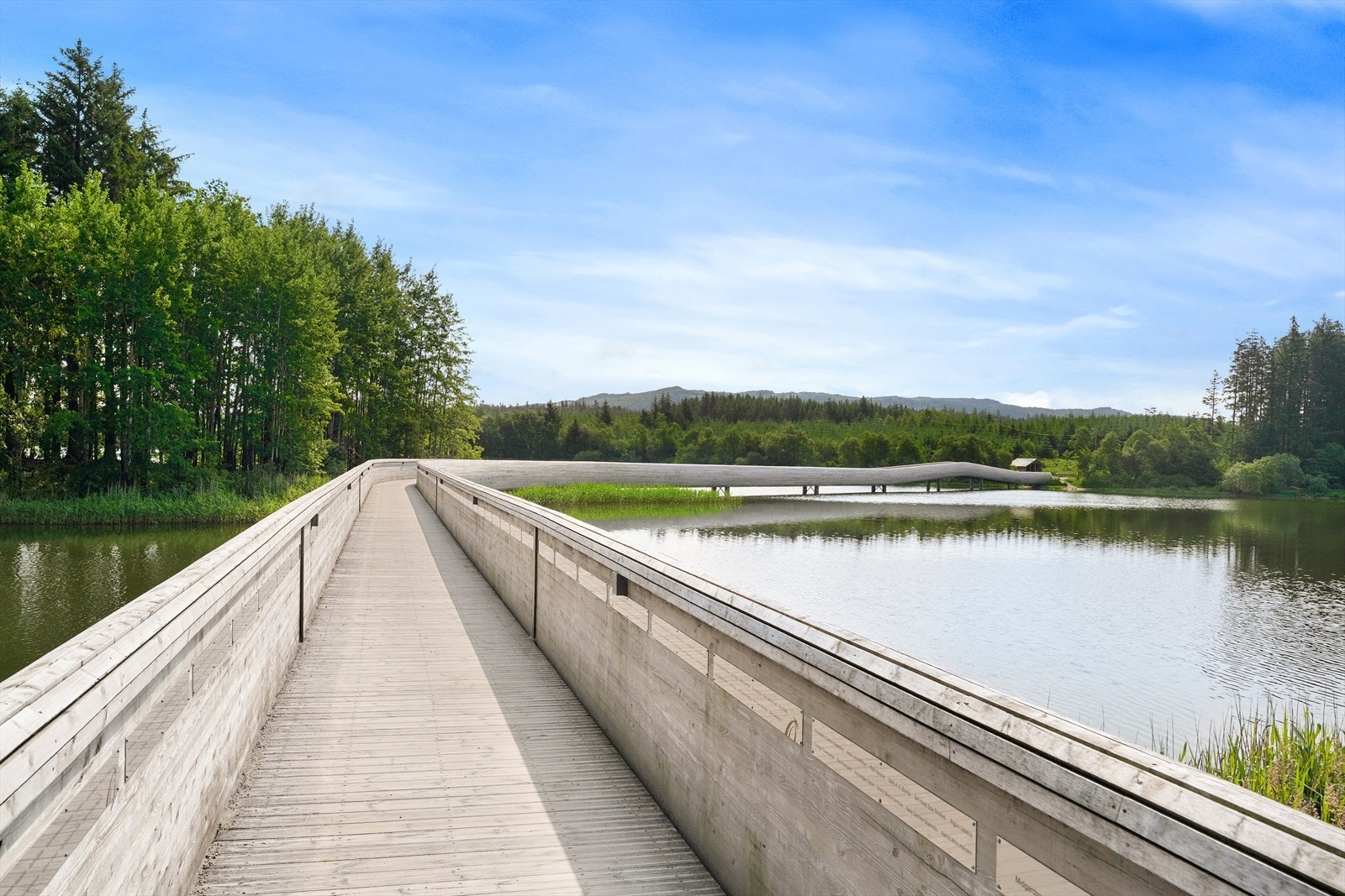 Midgardsormen Galleribilde