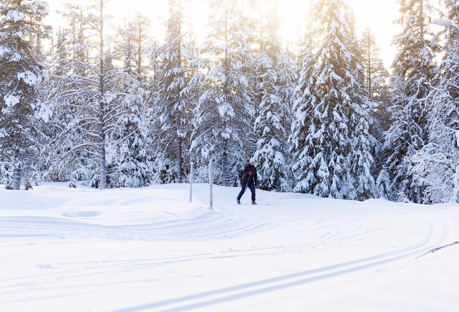 Langrennsløyper i nærområdet tilknyttet løypenett. Foto: Kalle Hägglund. Galleribilde