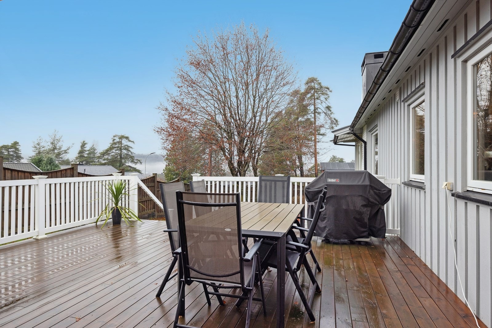 Solrik beliggenhet Galleribilde