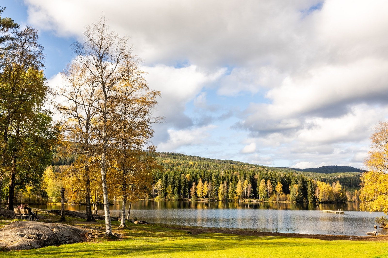 Nærområde - Sognsvann og marka Galleribilde