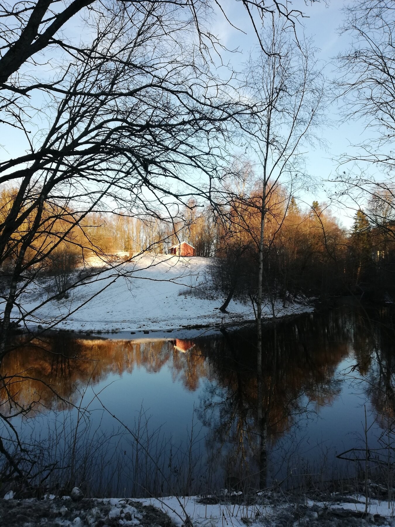 Selgers bilde Galleribilde