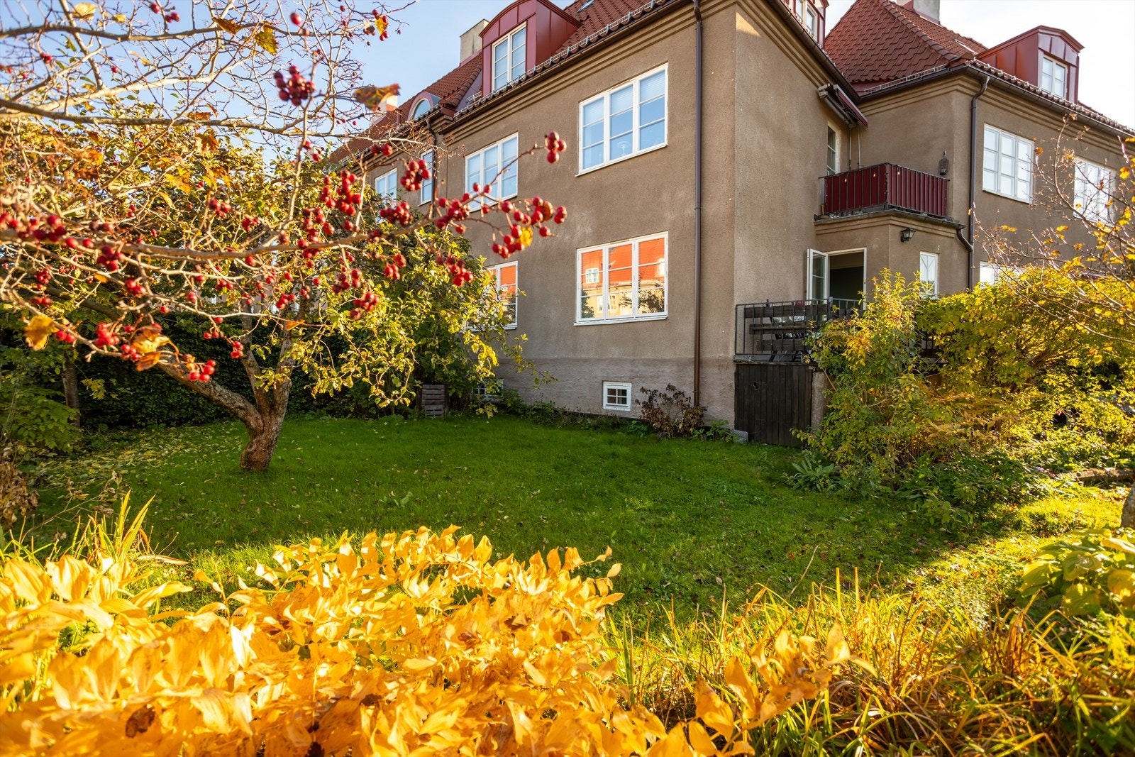 Her er det boltreplass for både store og små hele året rundt. Galleribilde