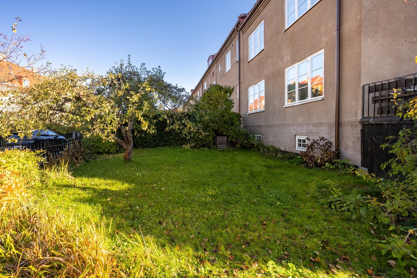 Stor og frodig hage med vakker beplantning om sommeren. Galleribilde