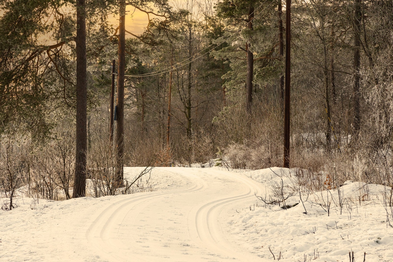 Flotte tur- og rekreasjonsmuligheter rett utenfor døren, året rundt. Galleribilde
