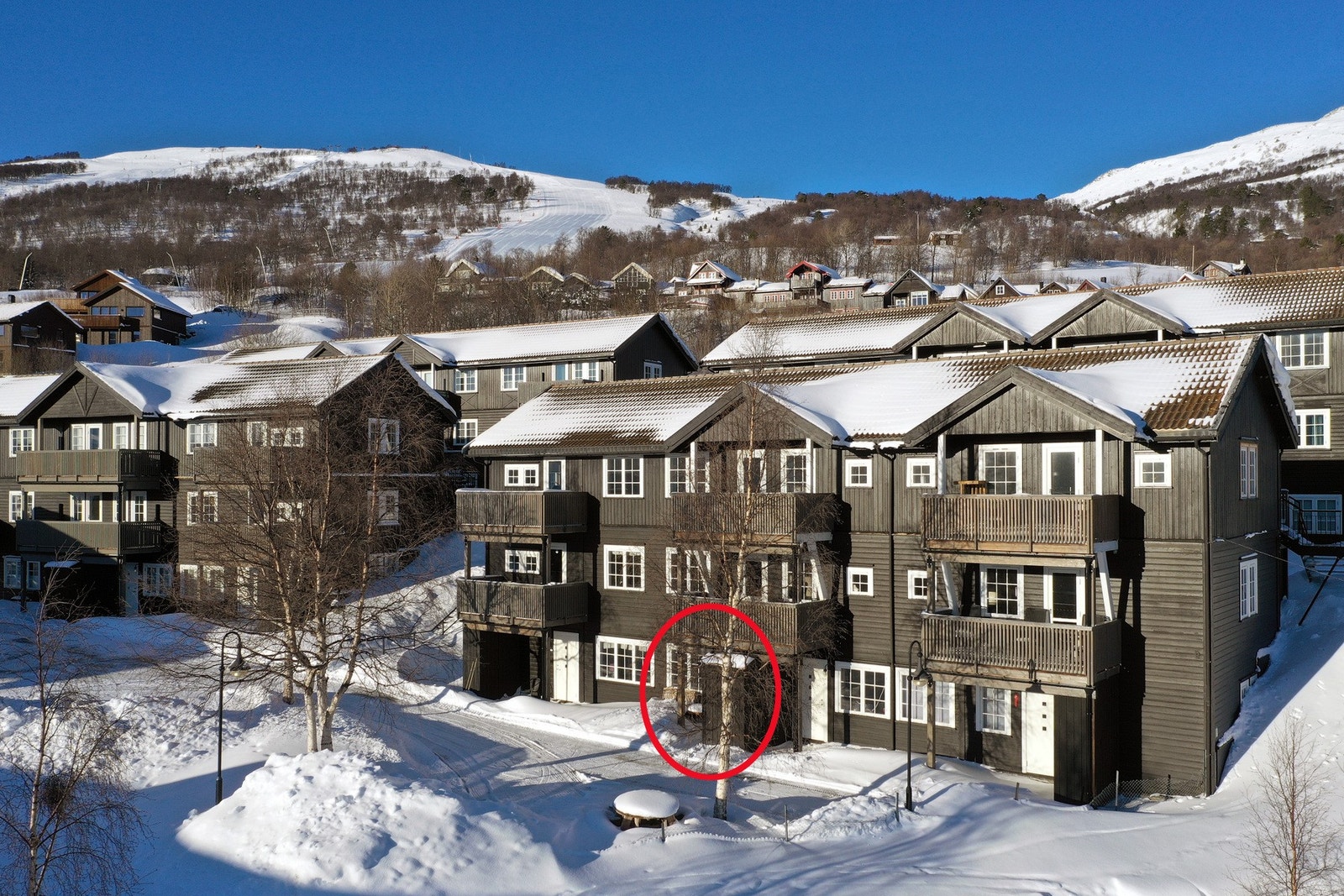 Velkommen til visning! Galleribilde