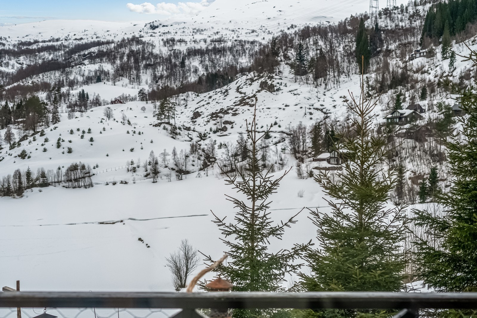 Utsikt. Galleribilde