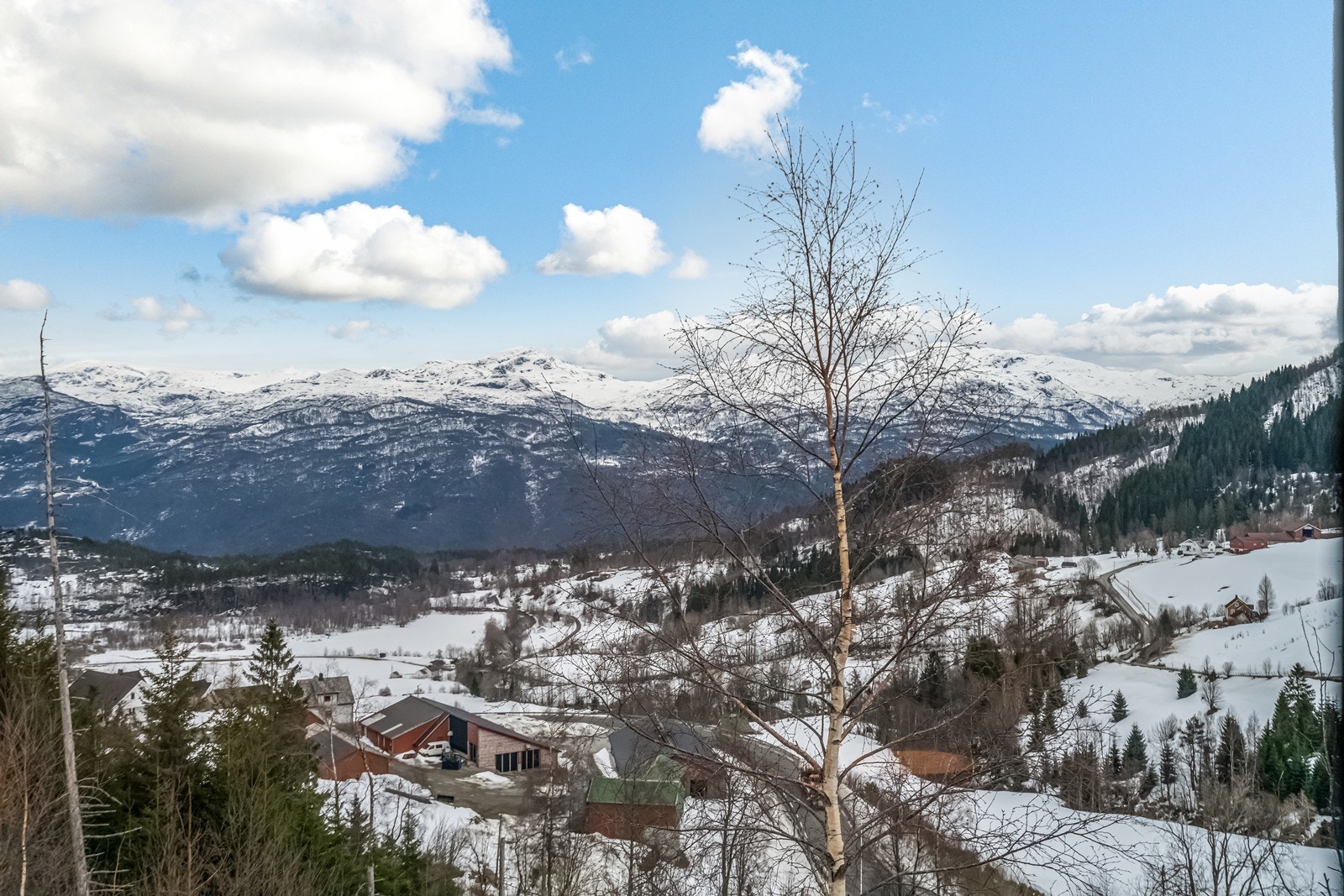 Utsikt. Galleribilde