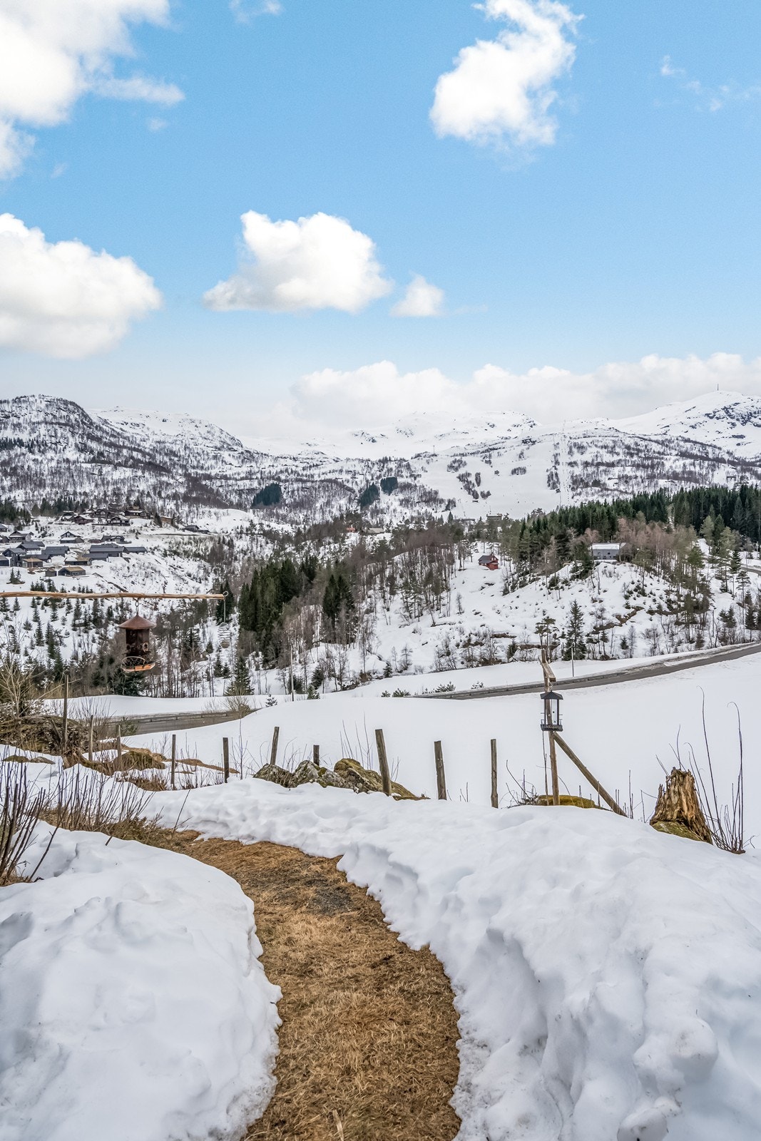 Del av tomten. Galleribilde