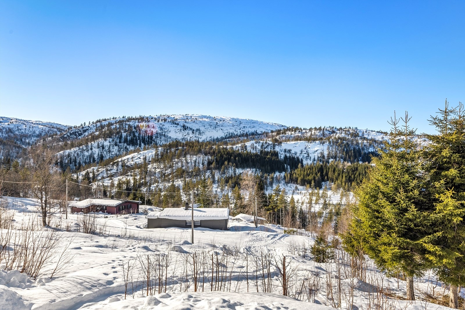 Utsikten fra hyttta Galleribilde