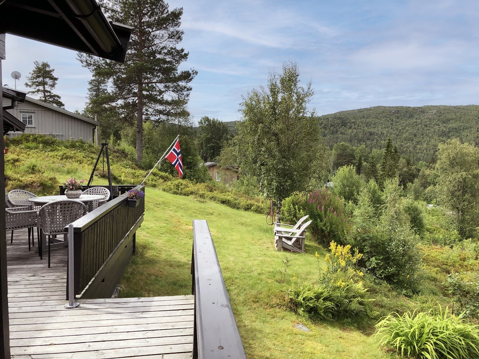 Bilde tatt av selger Galleribilde