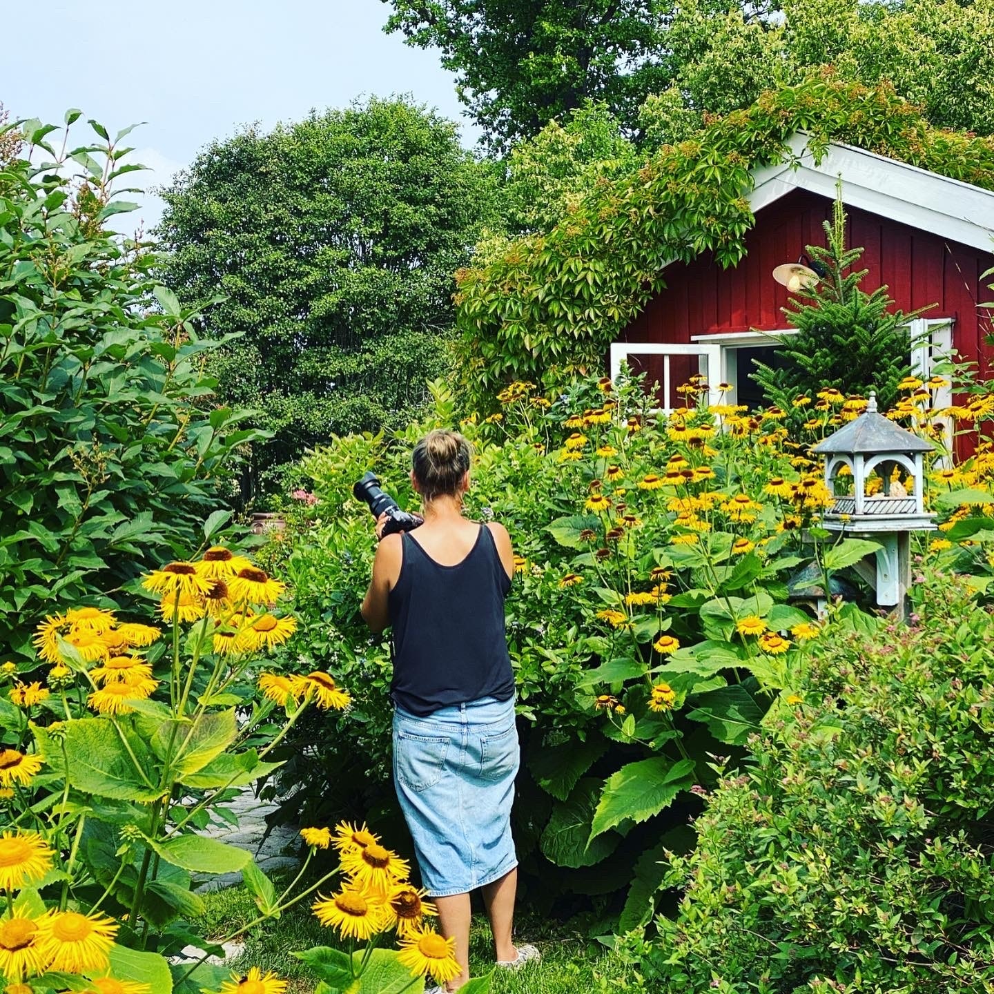 Bugnende vekster og blomsterbed Galleribilde