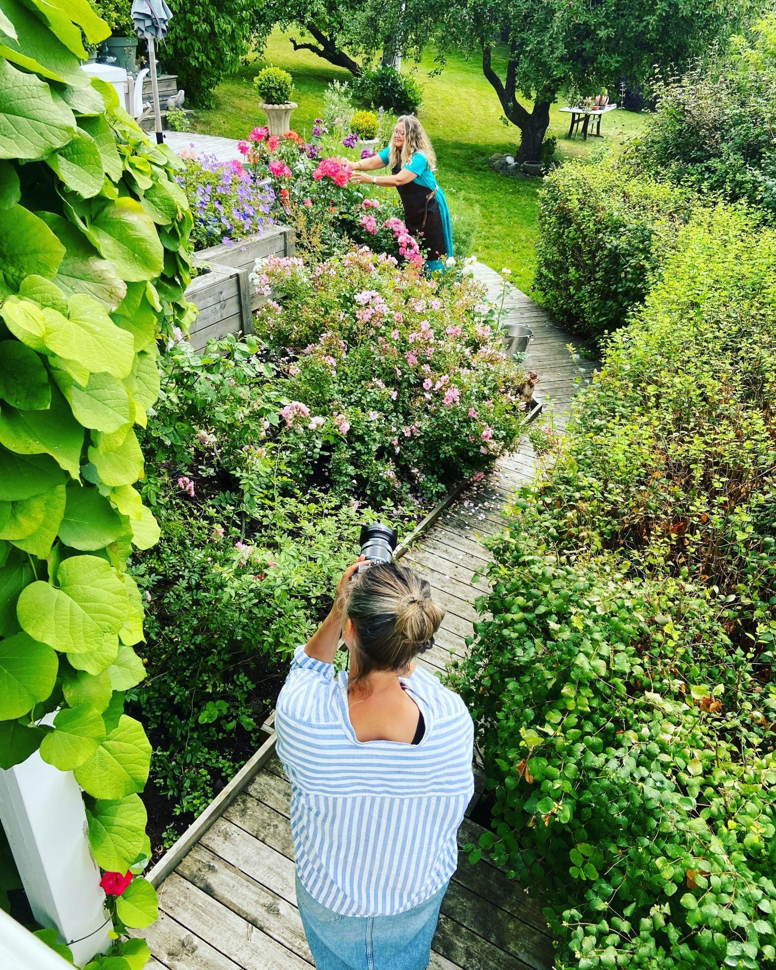 Vakker blomstring fra vår til høst. Galleribilde