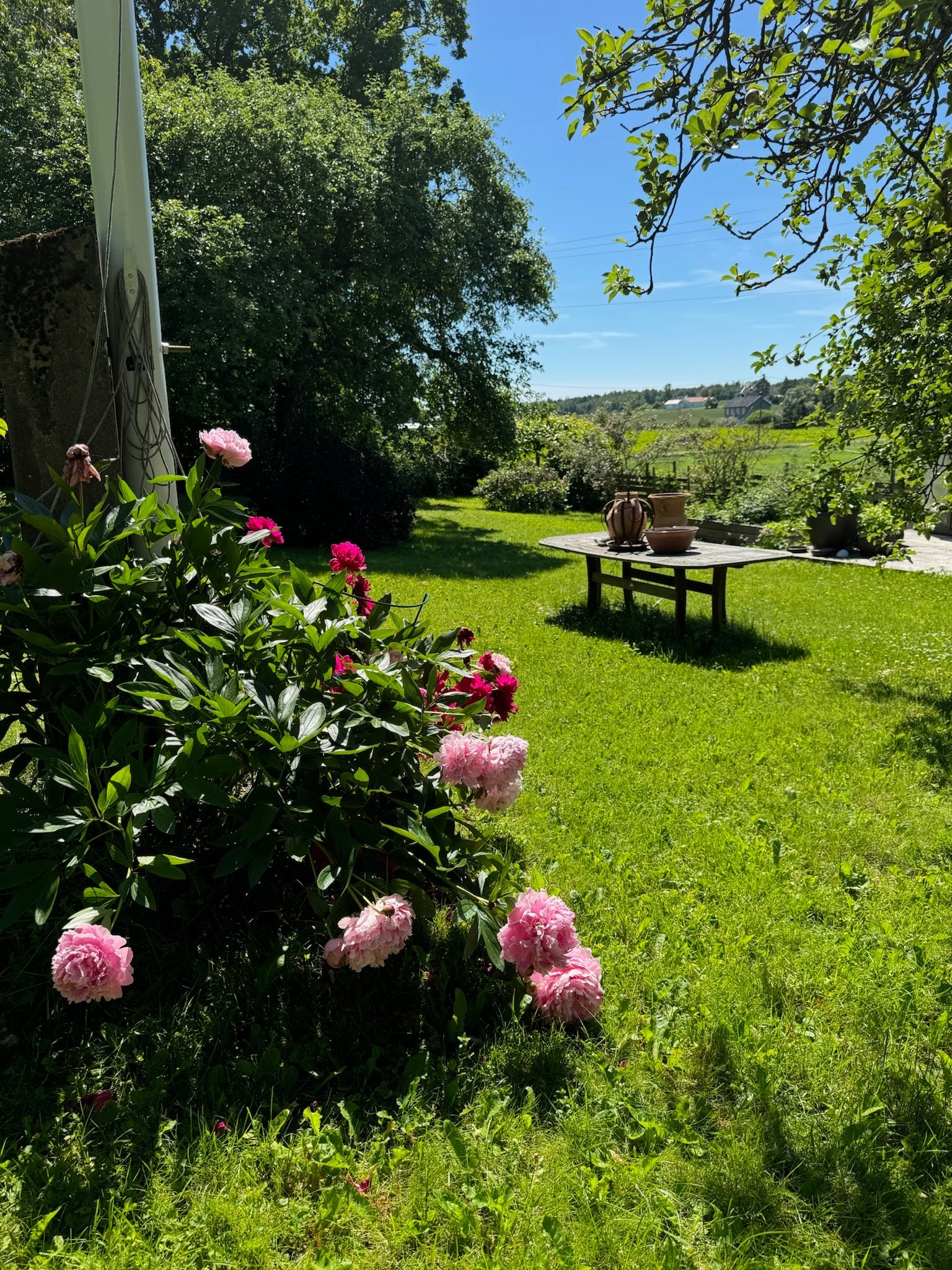Her blomstrer syriner i lilla, rosa og hvitt, sammen med magnolia, rhododendron, tulipaner og pinseliljer. Galleribilde