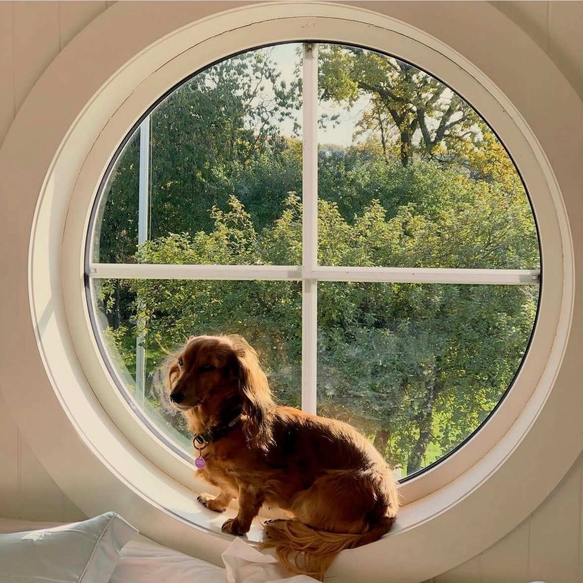 Ikke minst gir det runde vinduet et arkitektonisk særpreg til huset. Galleribilde