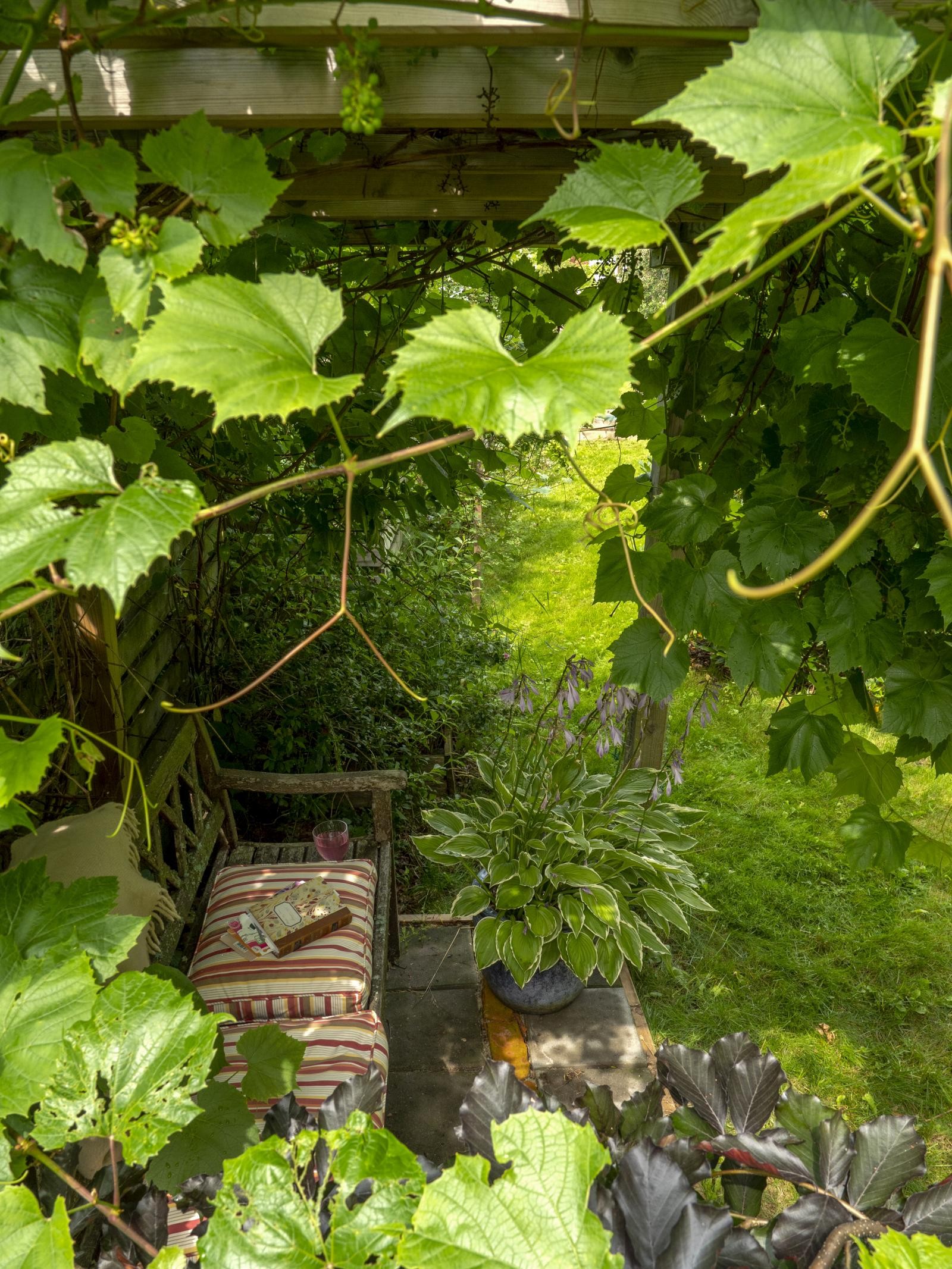 Det er en egen sydlandsfølelse å sitte på en benk i hagen med drueklaser hengende ned fra espaliene. Galleribilde