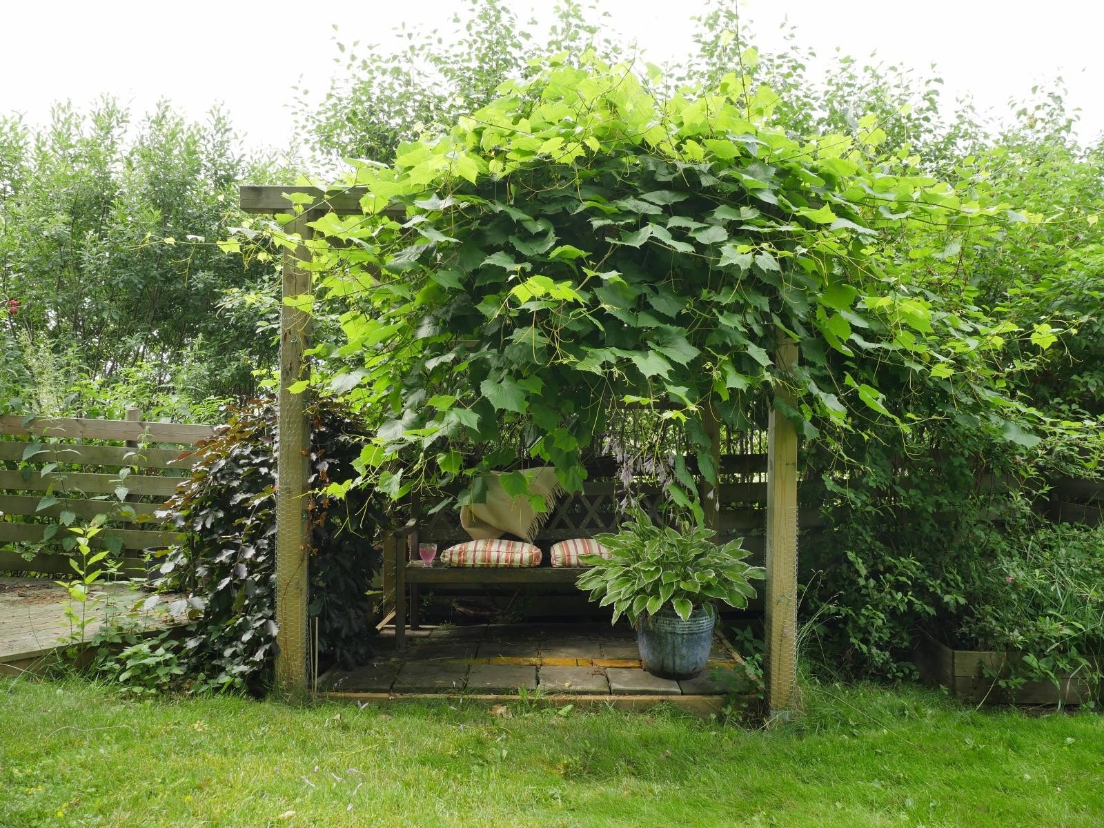 Hagefryd! Galleribilde