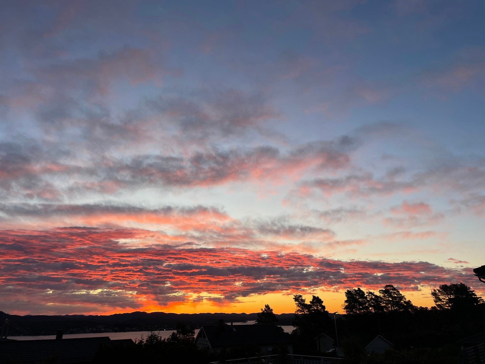 selgersbilder (2) Galleribilde