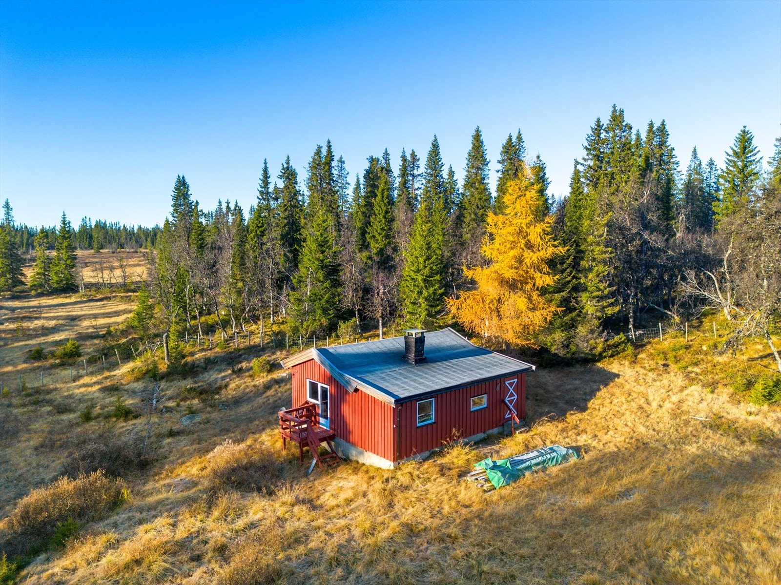 Velkommen til Teinvassåsvegen 782! Fotograf: Ingvild Sveen Joplassen. Galleribilde