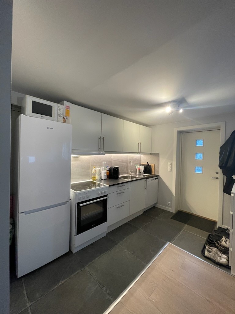 Fra utleiedelen - inngangsparti og kjøkken. Galleribilde