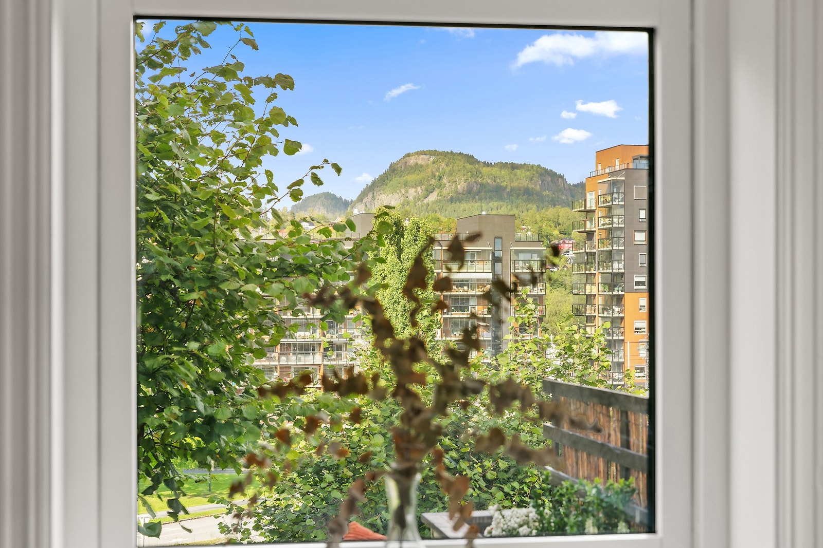 Utsikt til Kolsåstoppen fra kjøkken og markplatting Galleribilde