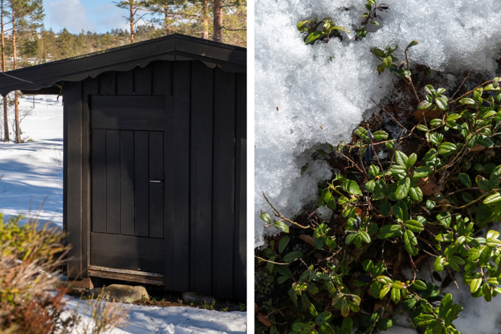 Utebod med utedo. Galleribilde