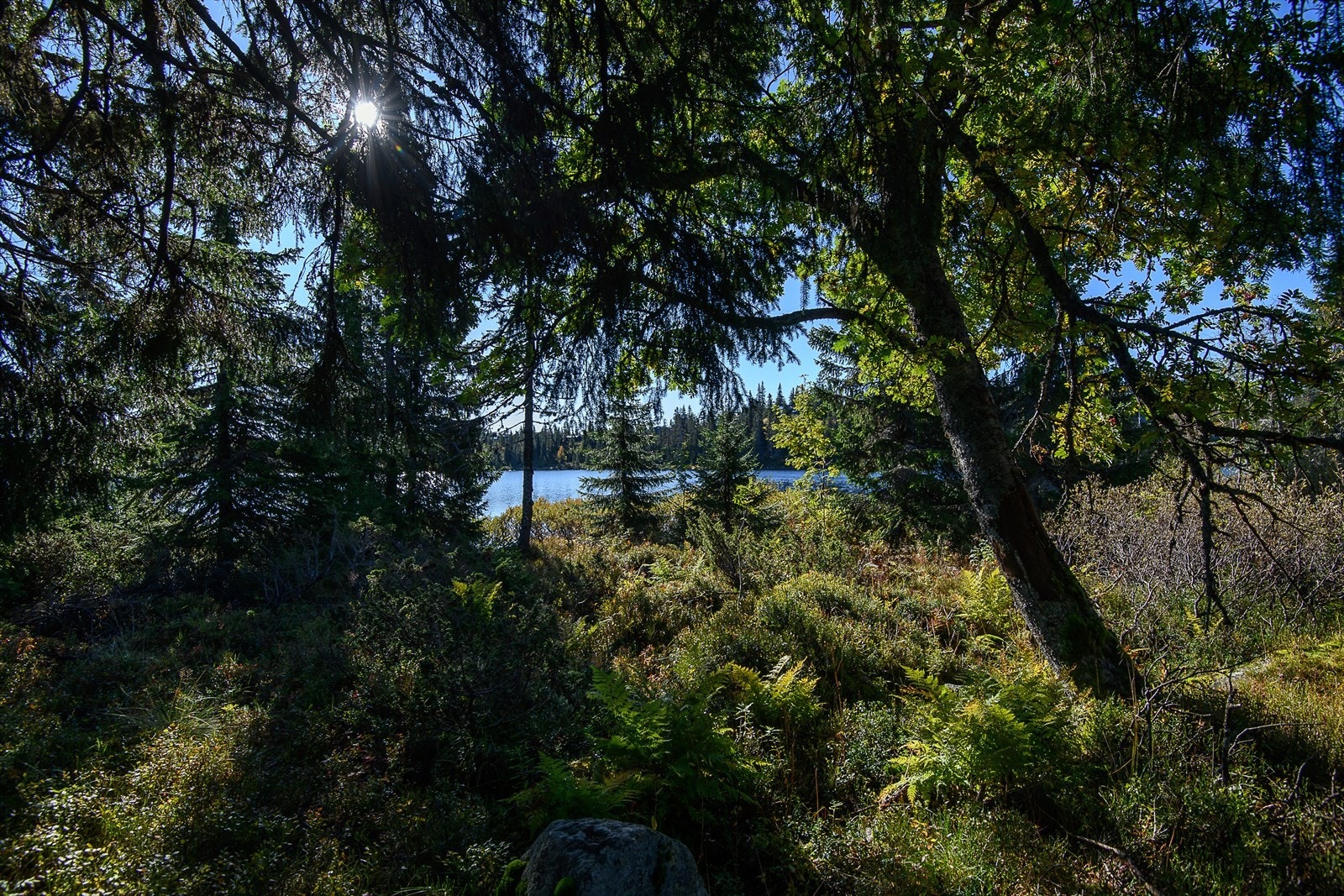 Tett på vannet og en sjelden mulighet! Galleribilde