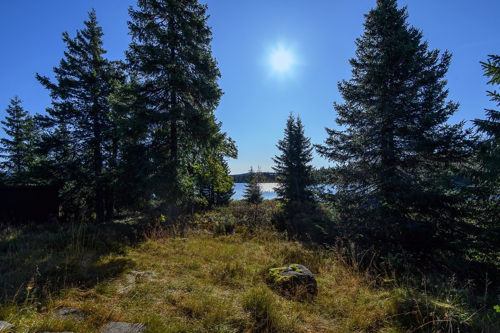 Hyggelige omgivelser, tett på alt av servicefasilteter som Sjusjøen har å by på. Kort og trygg gangavstand langs gangvei opp til både dagligvare, sportsbutikk og serveringssteder. Galleribilde