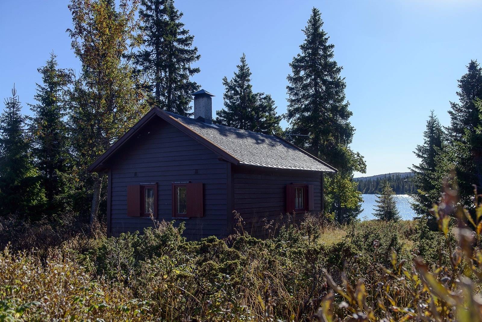 Fin utsikt mot vannet og forholdvis skjermet for innsyn kan du skape din drømmeplass på Sjusjøen. Galleribilde