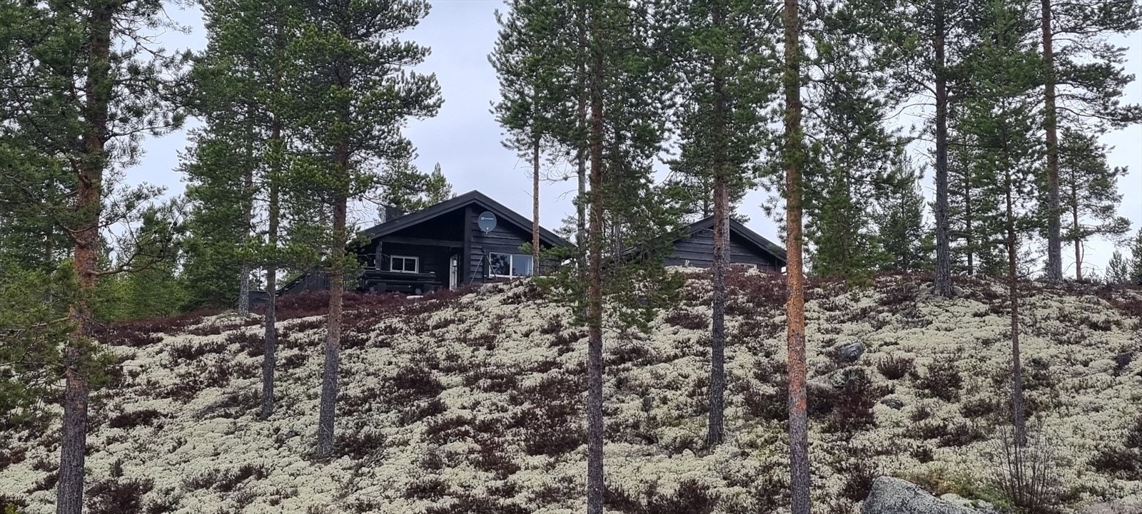 Fasade fra nedsiden Galleribilde