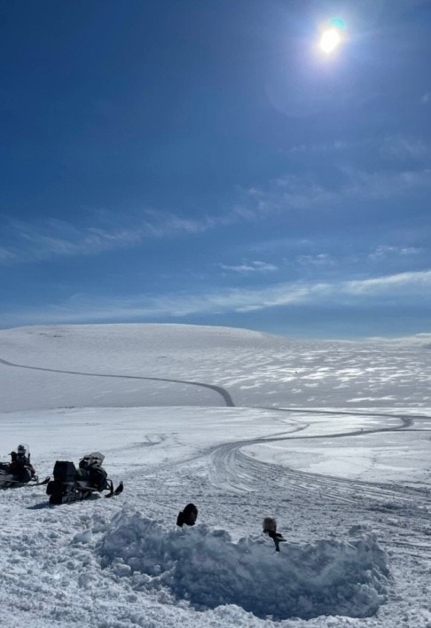 Bilde fra Tverrfjellet. Galleribilde