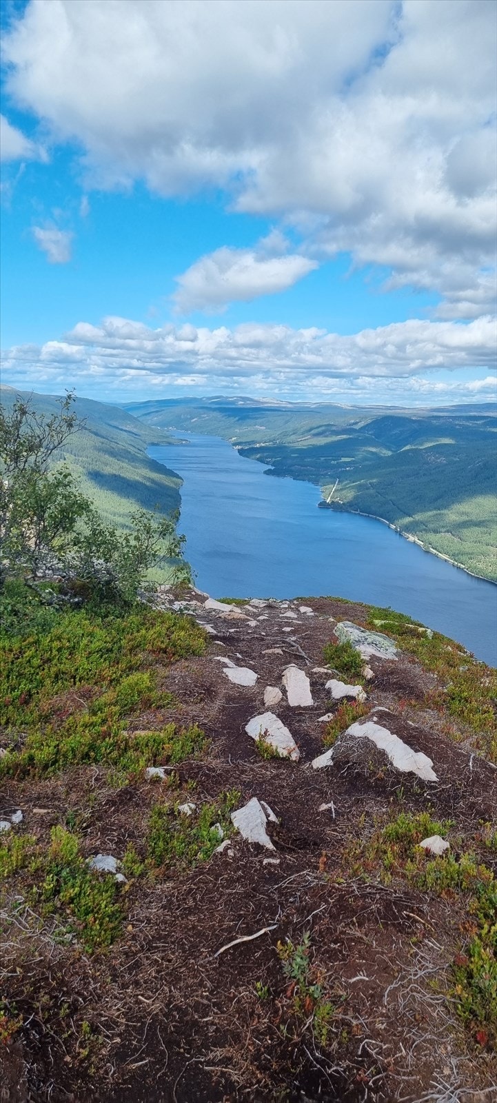 Skagsvola. Galleribilde