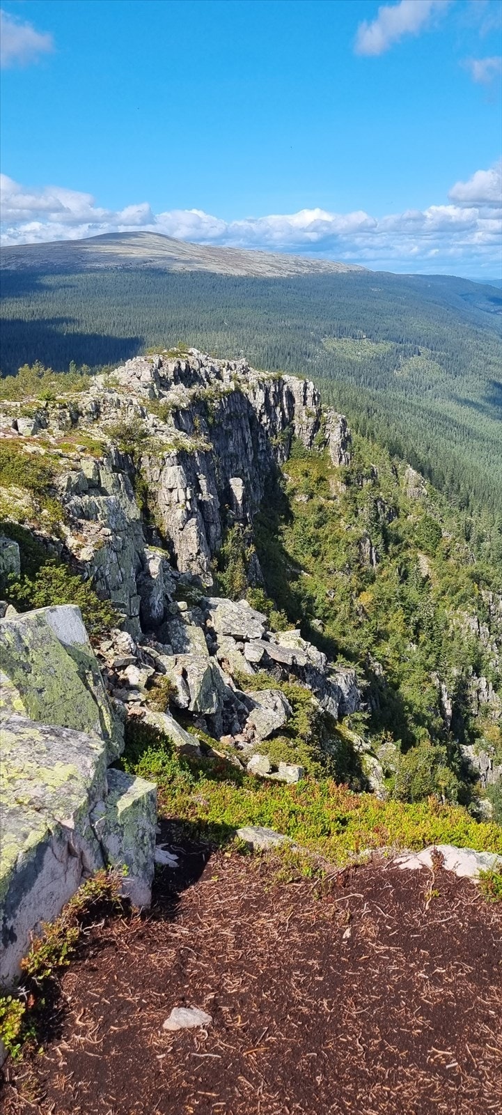 Toppen av Skagsvola. Galleribilde