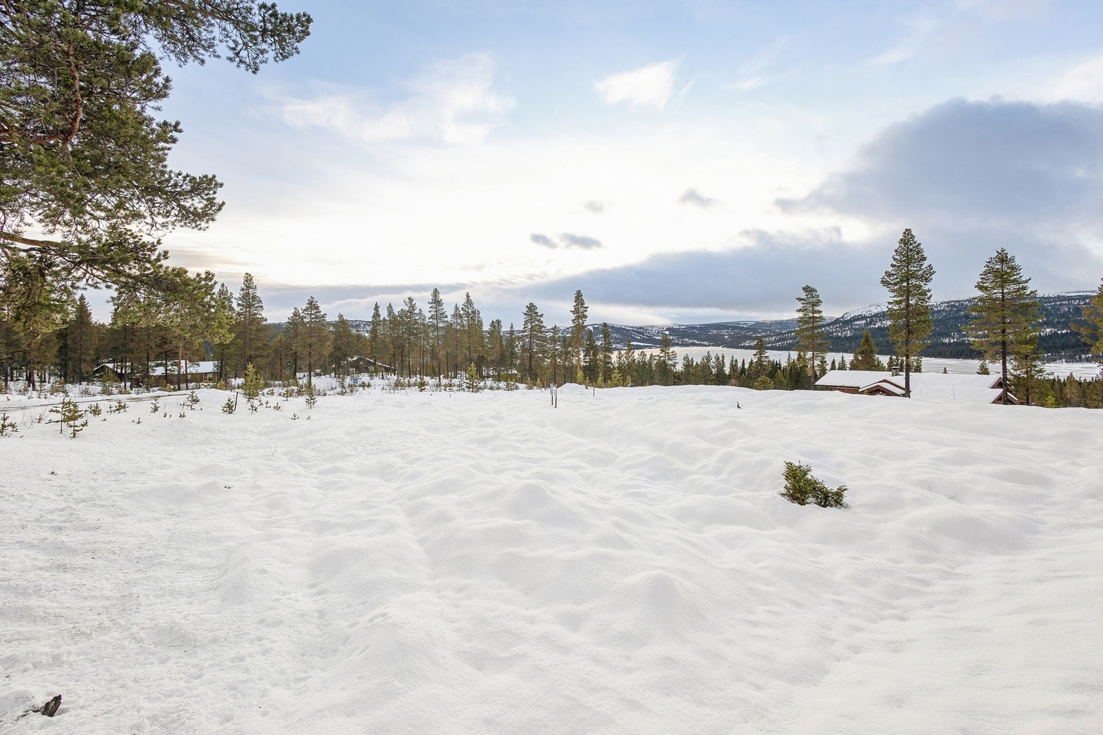 Her har du muligheten til å skape et fristed med rikelig av boltreplass rett utenfor døren. Galleribilde
