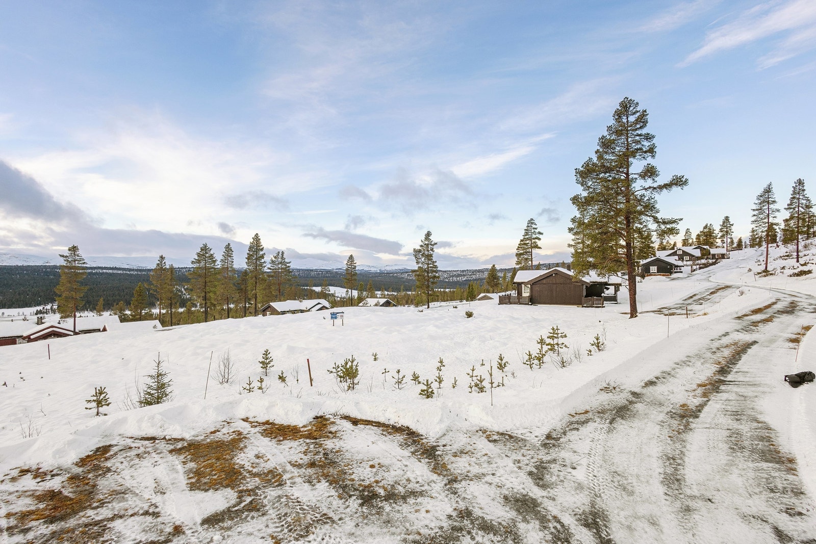 Enkel adkomst til tomten fra felles vei i hyttefeltet. Galleribilde