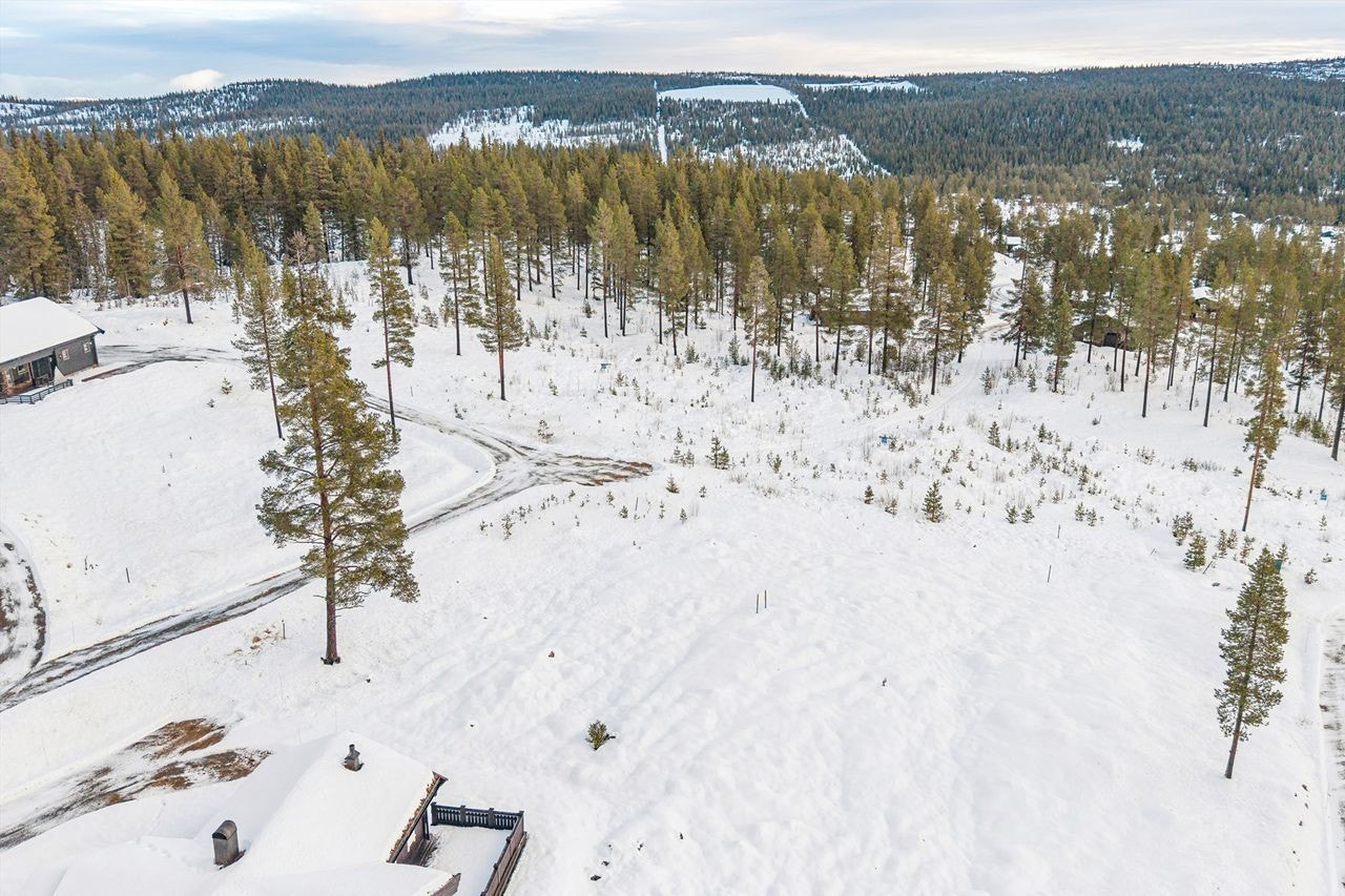 Området inviterer til turer og rekreasjon. Galleribilde