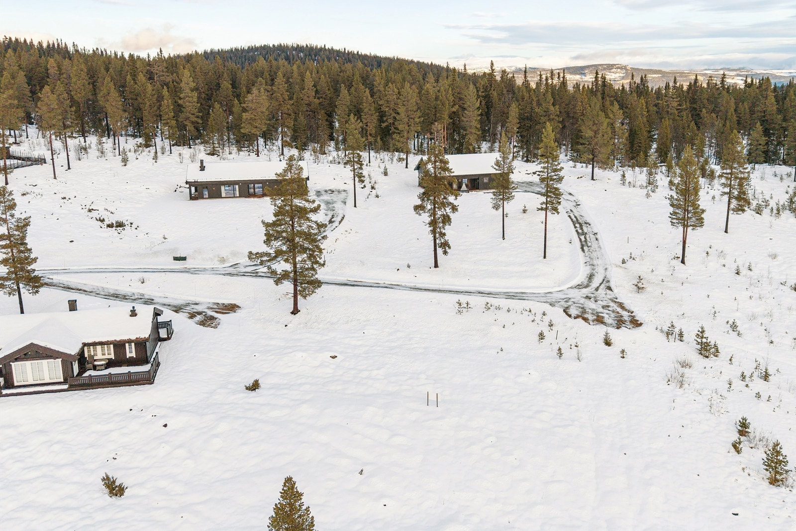 Oversikt over nærområdet. Galleribilde